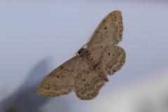 9.6.: Besuch am Fenster