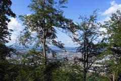 9.7.: Bäume vor der Aussicht auf die Stadt