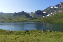 23.7.: Ausblick von Melchsee-Frutt
