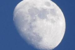 220113_z85_0022