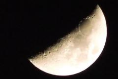 220309_z43_0178