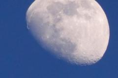 220313_mond_z_80_0102