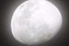 220315_mond_z88_0142