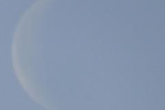 220327_mond_a27