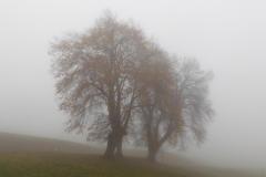221204_0172