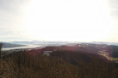 30.1.: Uetliberg-Panorama