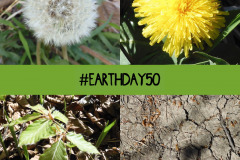 22.4.: Earth Day-Beitrag