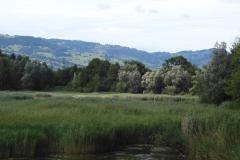 230721_3210