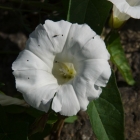 45_4192-pp